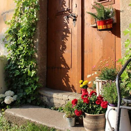 Lazy River Hostel Loket Ngoại thất bức ảnh